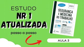 NR 1 AtualizadaAula 3 [upl. by Aksoyn]