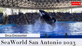 SeaWorld San Antonio 2023  Orca Encounter  Killer Whales  Cessna amp Sienna [upl. by Aubigny]