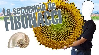 La secuencia de Fibonacci en 3 minutos Por explainers tv [upl. by Phyl859]