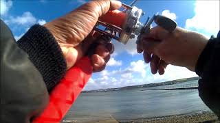 Welsh Bass Sea Fishing with baits Pendulum casting 60g Daiwa Carp Rod and Abu Ambassadeur reel [upl. by Kreindler]