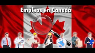 ¡No te pierdas 10 ofertas de empleo en Canadá [upl. by Seek]