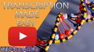 Transcription Made Easy From DNA to RNA 2019 [upl. by Yannodrahc]