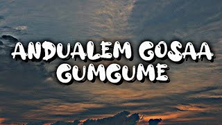 Andualem Gosaa  GumgumeLyrics  Ethiopian Oromo Music [upl. by Nnylaehs]