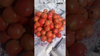 Today fruits rates 😍😋  Edhi Yaaparam  Pavan Kumar Undamatla [upl. by Alemrac388]