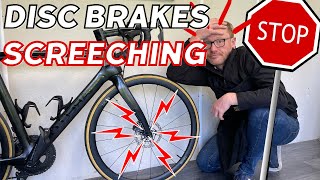 Stop Noisy Disc Brake Squeal And Clean Contaminated Brakes  Road Bike Maintenance [upl. by Anirat]