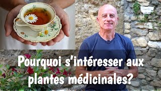 Pourquoi sintéresser aux plantes médicinales [upl. by Neelhtak879]