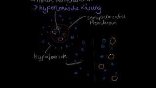 Diffusion und Osmose  Biologie [upl. by Fu]