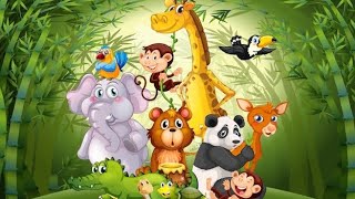 Learn Different types of Animals  Mammals BIRDS Reptiles Fish Amphibians Insects for kids [upl. by Tare547]