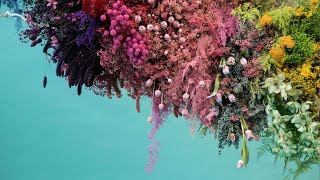 Colourful Flower Installation [upl. by Bethina411]