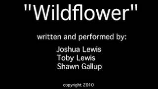 Wildflower Triathlon Song [upl. by Otrebcire465]