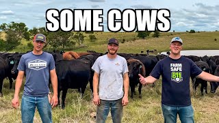 Some Cows Some Girls Parody [upl. by Rebba274]