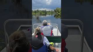 Airboat ride on the Peace River airboat birds  nature wildlife [upl. by Threlkeld778]