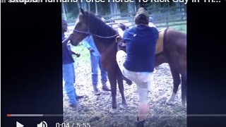 Stupid Humans Force Horse To Kick Guy In The Head  Horse Yoga Dummy [upl. by Jamesy]