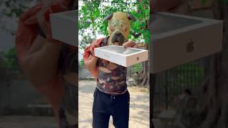 The story of the dog giving the man an iPhone 📱 dog trending viralvideo shortvideo iphone [upl. by Weasner]