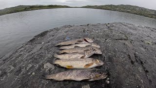 Catch And Cook Mountain Trout  Hardangervidda [upl. by Durno]