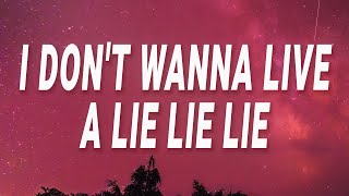 Lay Bankz  I dont wanna live a lie lie lie Tell Ur Girlfriend Lyrics [upl. by Parke]