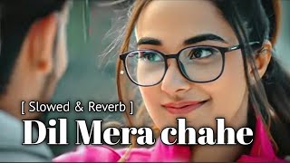 Dil Mera Chahe Slowed Reverb  Arijit Singh Lofi Vibes  MKLOFI [upl. by Anitnemelc]