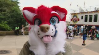 Furry convention Anthrocon expected to bring thousands to Pittsburgh [upl. by Rawde]