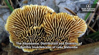 The Abundance Distribution and Diversity of Benthic Invertebrates of Lake Malombe [upl. by Eimmis908]