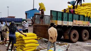 Kakinada Port  Hub of Imports and Exports through AP Huge Ships from different Countries Harbour [upl. by Refiffej]