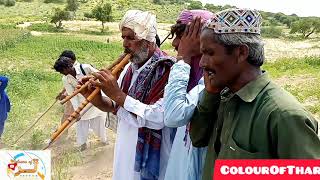 The Folk Song Of Tharparkar Hamarcho ep2 ColoursOfThar tharparkar hamarcho folksong [upl. by Irihs]