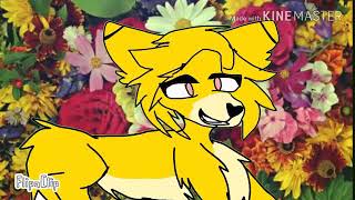 Honey lavender meme collab Natalia Sheltie Wolf [upl. by Trixy]