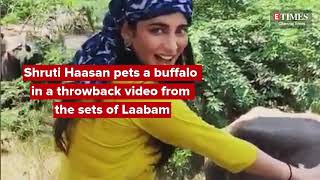 Shruti Haasan pets a buffalo in a throwback video from the sets of Laabam [upl. by Gierc587]