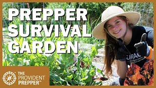 Survival Garden Design Basics for Preppers [upl. by Fuld401]