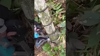 Bamboo strip cutting process with the electric cutter [upl. by Refynnej]