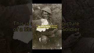 The Truth Behind This Famous World War One Picture ww1 warshorts warhistory military facts [upl. by Barkley]