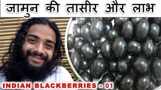 जामुन की तासीर और लाभ  INDIAN BLACKBERRIES AYURVEDIC HEALTH BENEFITS BY NITYANANDAM SHREE [upl. by Akeit]