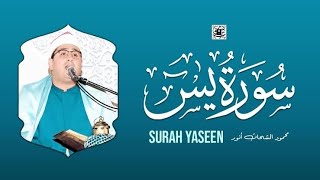 سورة يس كاملــــة أستوديو 🎙️ القارئ الشيخ محمود الشحات أنور [upl. by Arv]