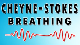 Breathing in Waves Understanding CheyneStokes Respiratory Rhythm [upl. by Eatnoid250]