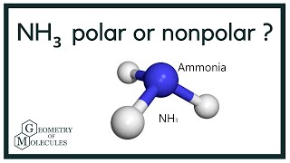 Is NH3 Polar or Nonpolar Ammonia [upl. by Adnahc911]