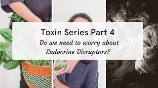 Do we really need to worry about endocrine disruptors [upl. by Ycrep263]