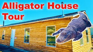 Alligator House FULL TOUR [upl. by Amikan512]