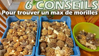 Morilles  6 conseils pour trouver un maximum de morilles [upl. by Bosson]