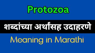 Protozoa Meaning In Marathi  Protozoa explained in Marathi [upl. by Tifanie]