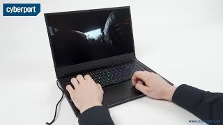 Schenker XMG NEO 15 im Test I Cyberport [upl. by Balcer]