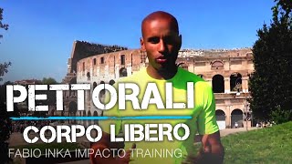 ALLENAMENTO PETTORALI  ESERCIZI CORPO LIBERO PETTO [upl. by Madden]