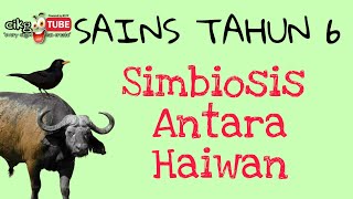 SIMBIOSIS ANTARA HAIWAN  Sains Tahun 6 unit 4 [upl. by Ahsinyar]