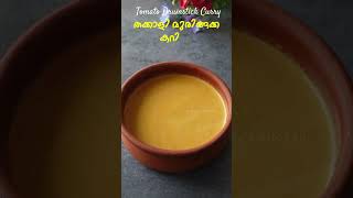 തക്കാളി മുരിങ്ങക്ക ഒഴിച്ച് കറി  Thakkali Muringakka Curry Recipe  Tomato Curry  Ozhichu Curry [upl. by Lach492]