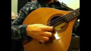 Basic bouzouki picking pattern for Irish reels [upl. by Yelekreb492]