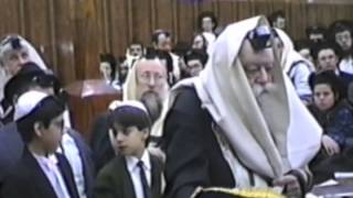 The Lubavitcher Rebbe Shacharit at 770  Rare Film  First time on web [upl. by Borer]