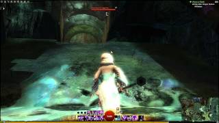 Guild Wars 2 Malchors Leap Vista  Garden Of Ilya [upl. by Nadnerb643]