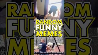 RANDOM FUNNY MEMES 🤣 Daily Funny Videos pt224 [upl. by Xanthus]