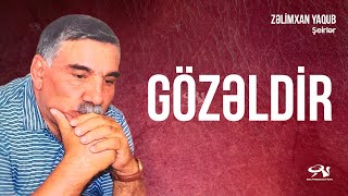 Zəlimxan Yaqub  Gözəldir  öz səsi ilə  şeirlər [upl. by Labannah395]