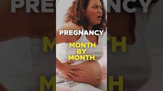 Pregnancy Month By Month [upl. by Naol]