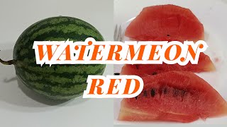 ASMR WATERMELON RED SLICING YUMMY satisfying watermelon slicing yummy [upl. by Adlemi]