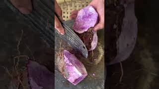 Purple sweet potato cutting process Good tools and machinery can increase work efficiency [upl. by Oba]